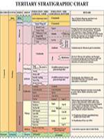 Louisiana Stratigraphic Charts