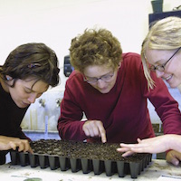 Students work on agricultural project.