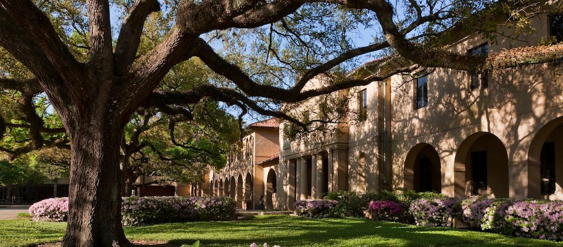 LSU Campus