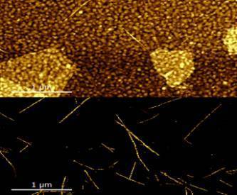 Carbon Nanowires