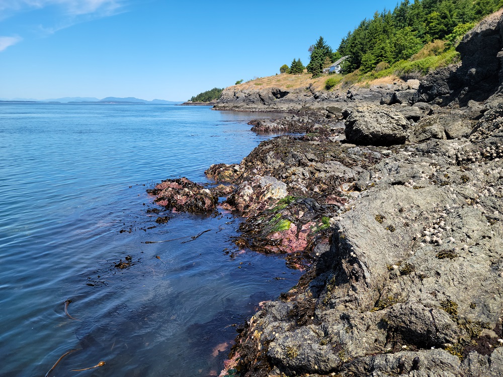 Friday Harbor