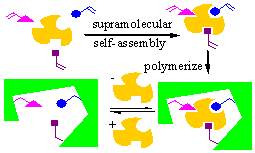 Molecular Imprinting in 3-D Network Polymers